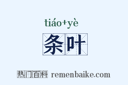 条叶是什么意思的图片